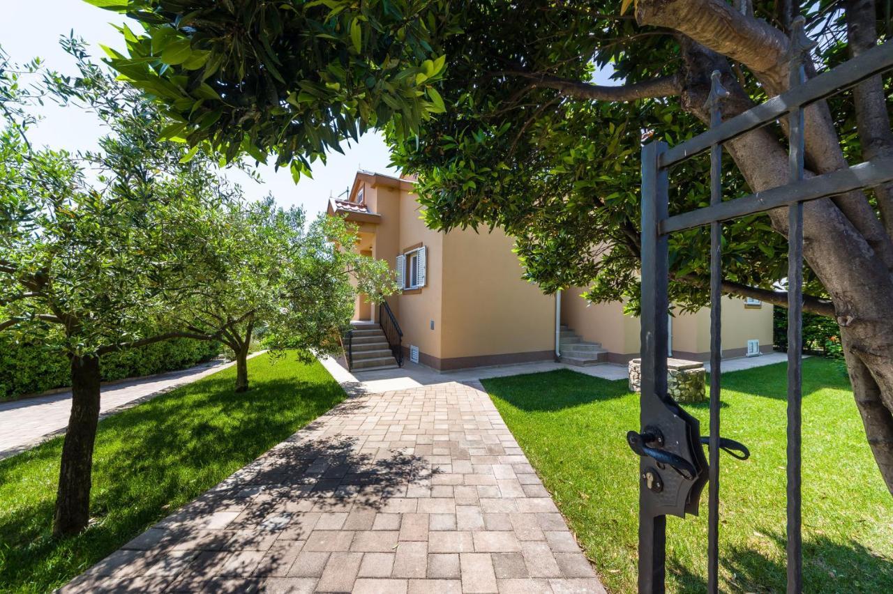 Apartment Alex 1 Задар Екстериор снимка